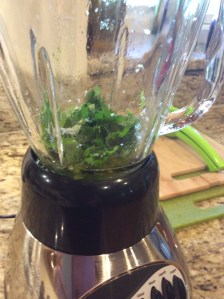 Ingredients in the blender