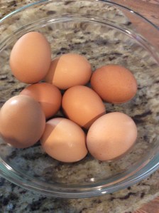 8 Beautiful Farm Eggs