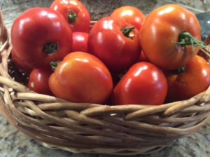 My basket of Celebrity and Early Girl tomatoes that I am going to use instead of Roma Tomatoes this time