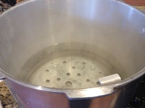 Put enough water into your canner that your pints will be completely submerged in water (about an inch over the top of the pint)