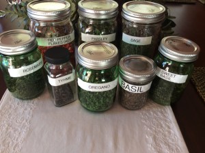 A variety of of herbs and spices!