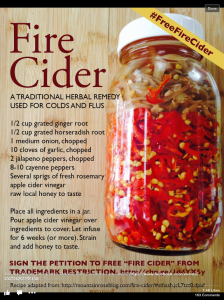Fire Cider by Mountain Rose as seen on Facebook by "Heal Thy Self"