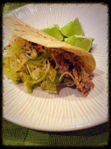 Mexican Pork Carnitas