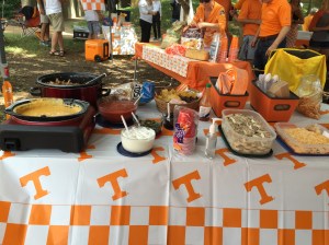 The full Pulled Pork Nacho Bar